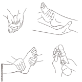 Foot Reflexology